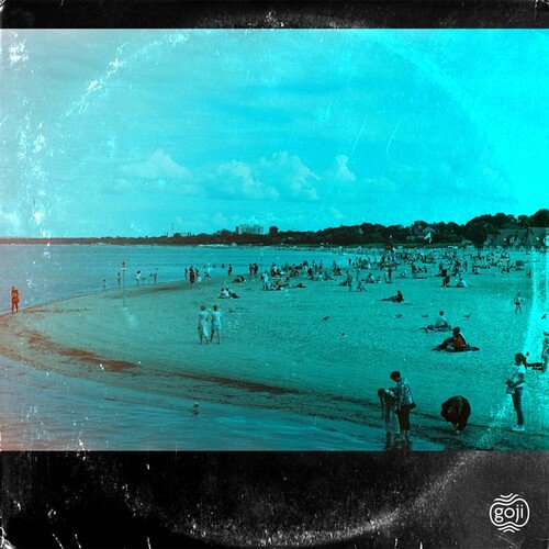 Seagull Blues