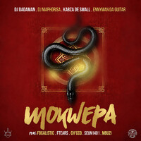 MOKWEPA (feat. Focalistic, Ftears, Ch'cco, Seun1401 & Mbuzi)