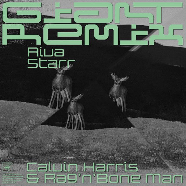 Giant (with Rag'n'Bone Man) - Riva Starr Tribe Vibe Remix