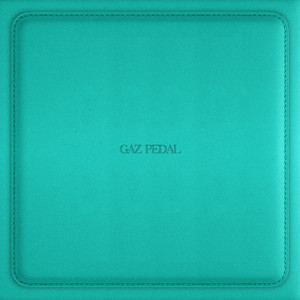 GAZ PEDAL