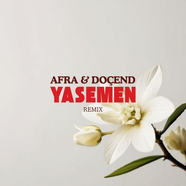 Yasemen - Remix