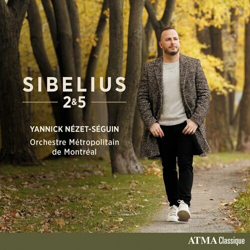 Symphony No. 5 in E-flat major, Op. 82 : Sibelius: Symphony No. 5 in E-flat major, Op. 82 - III. Allegro molto - Largamente assai