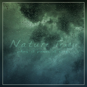 Creek Rain With Brids And Thunder - Seamless