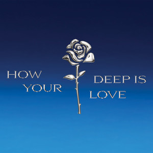 How Deep Is Your Love