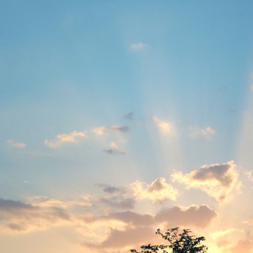 Far Daylight