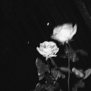 Rest In Peace