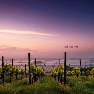 Valse Delle Vigne
