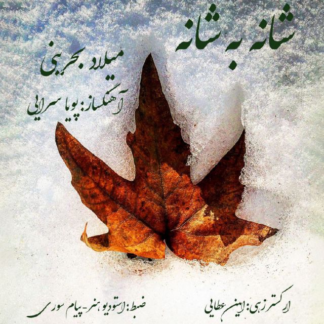 شانه به شانه