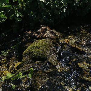 by our brook