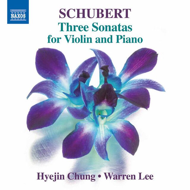 Violin Sonata in G Minor, Op. 137 No. 3, D. 408: IV. Allegro moderato