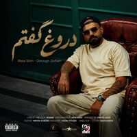 دروغ گفتم