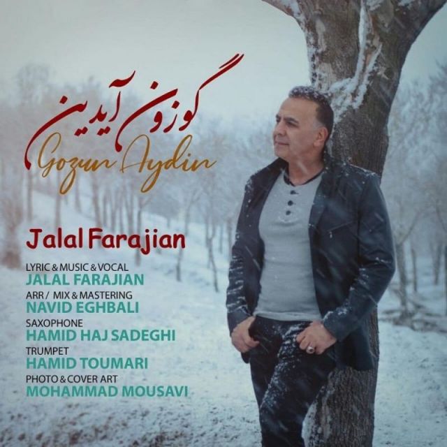 گوزون آیدین