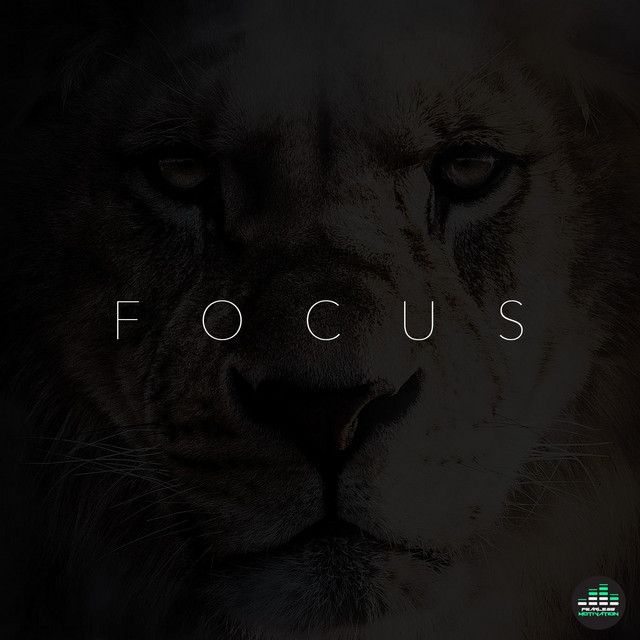 Focus