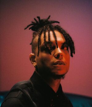 Ronnie Flex