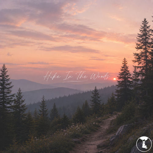 Hike In The Woods
