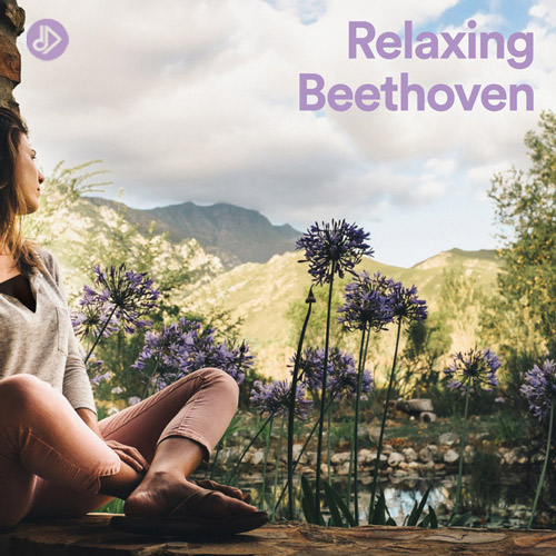 Beethoven: Violin Romance No.2 in F major, Op.50 (Live In Enschede)