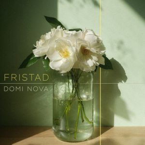 Domi Nova