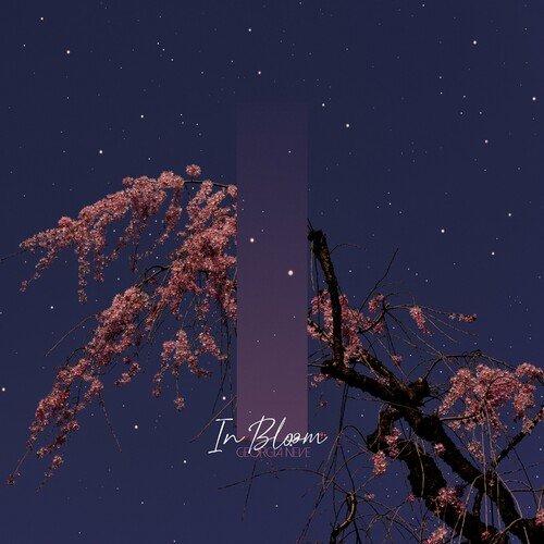 In Bloom