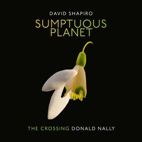 Sumptuous Planet (A Secular Mass): IV. Earth. Sumptuous Planet