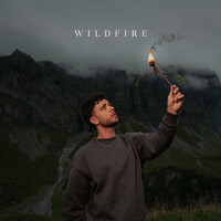 Wildfire