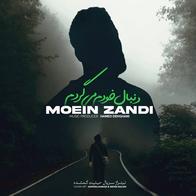 دنبال خودم می‌گردم