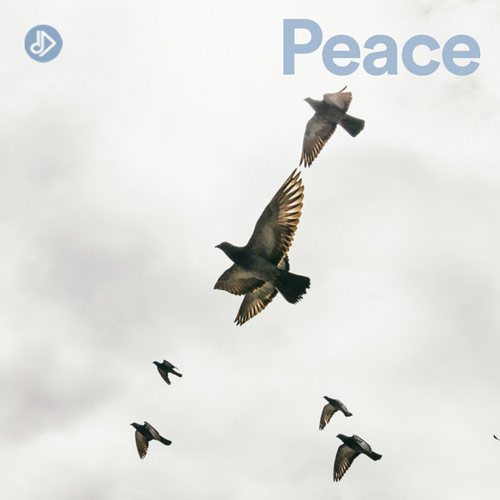 Moment of Peace