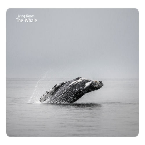 The Whale