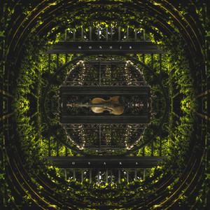 The Violin Song - Radio Edit