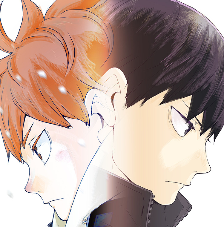 HAIKYU!!
