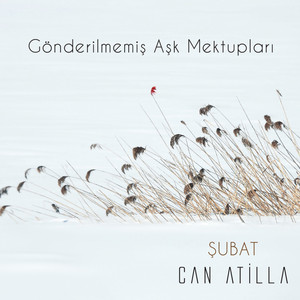 Sultanlar Aşkına
