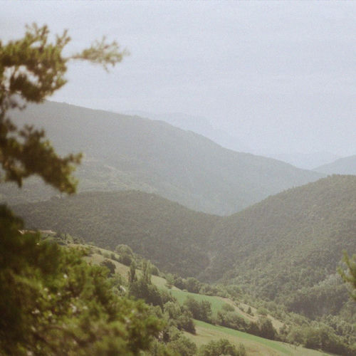 open meadows
