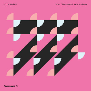 Wasted - Bart Skils Remix