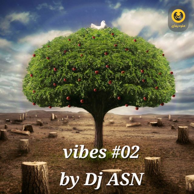 Vibes EP02