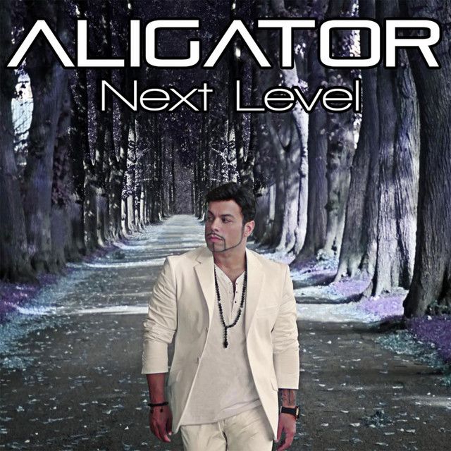 The Perfect Match - DJ Aligator's Chill out Remix