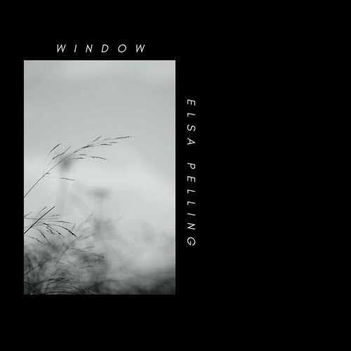 Window