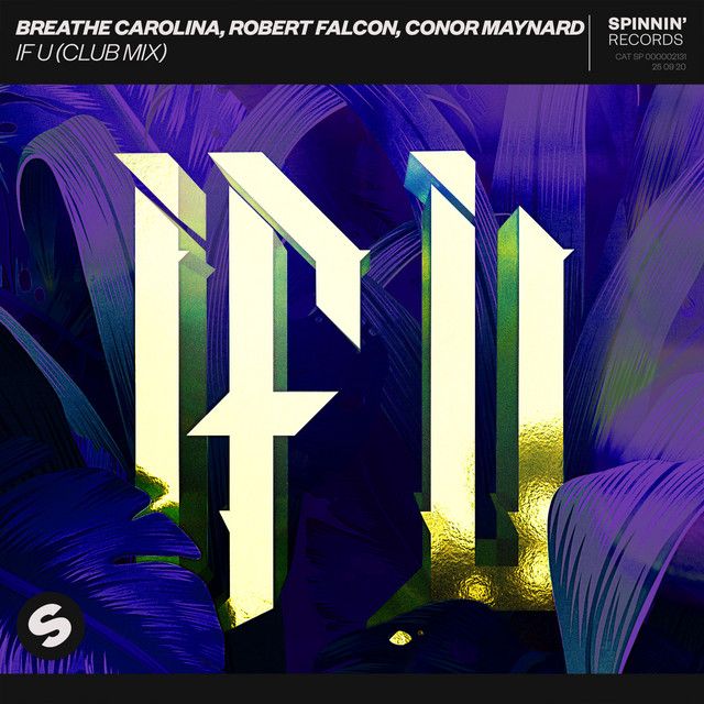 IF U - Club Mix