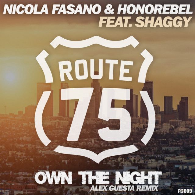 Own The Night - Alex Guesta Tribal Mix