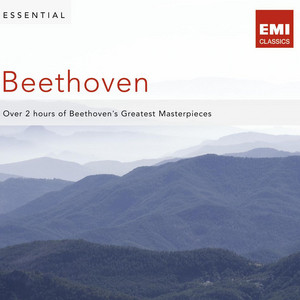 Symphony No. 9 in D Minor, Op.125 'Choral': Ode to Joy