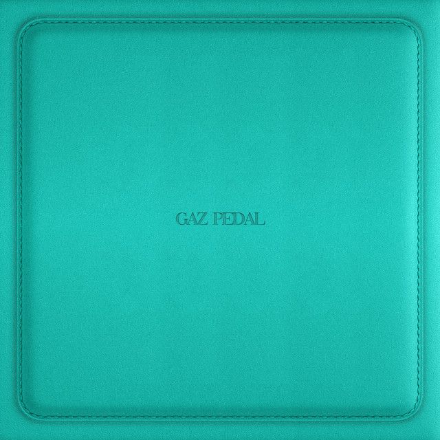 GAZ PEDAL