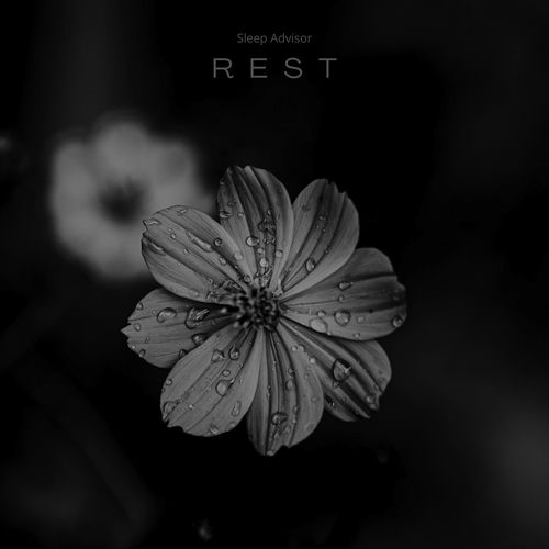 Rest