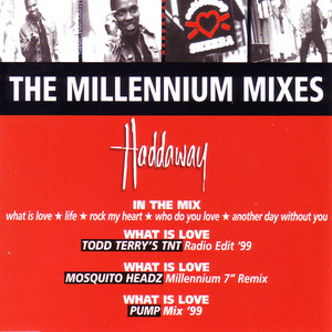 In the Mix - What Is Love / Life / Rock My Heart / Who Do You Love / Another Day Without You