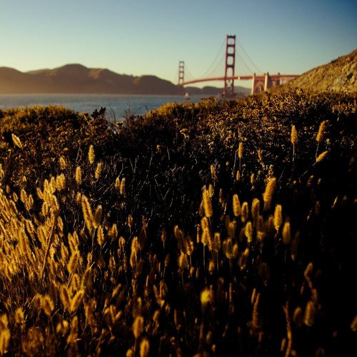 Golden Bridge