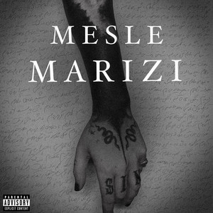 Mesle Marizi