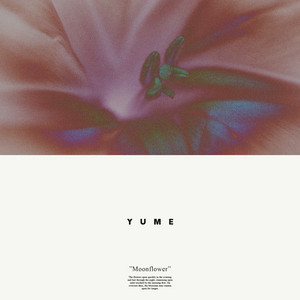 Moonflower