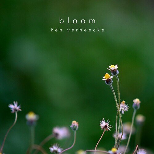 Bloom