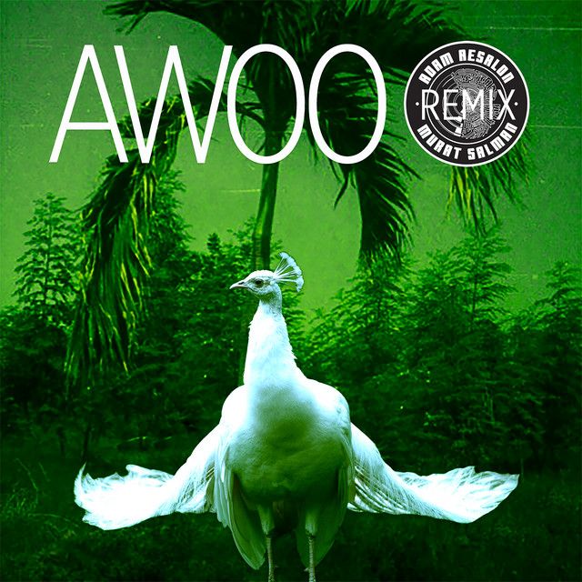 Awoo (feat. Betta Lemme) - Adam Aesalon & Murat Salman Remix