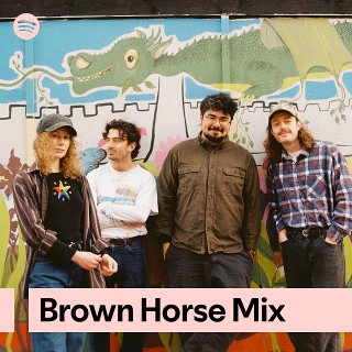 Brown Horse Mix
