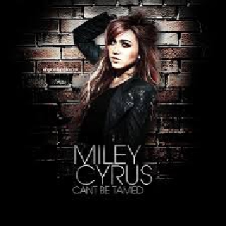 Can't Be Tamed - Wideboys Stadium Radio Remix
