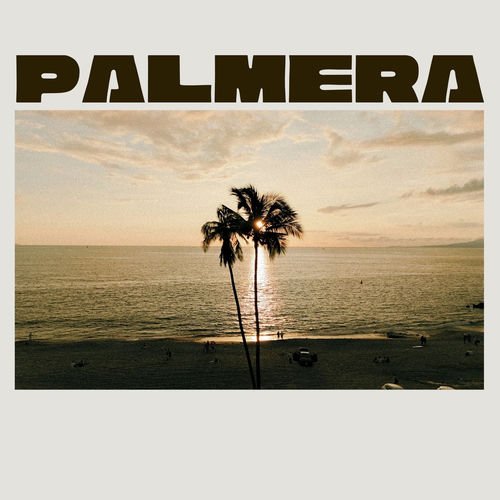 Palmera