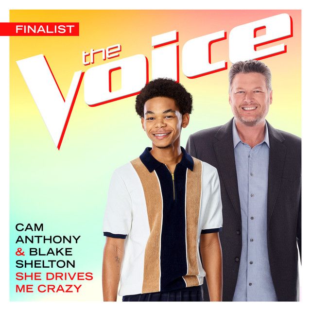 She Drives Me Crazy - The Voice Performance